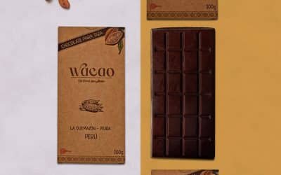 La importancia de consumir verdadero cacao
