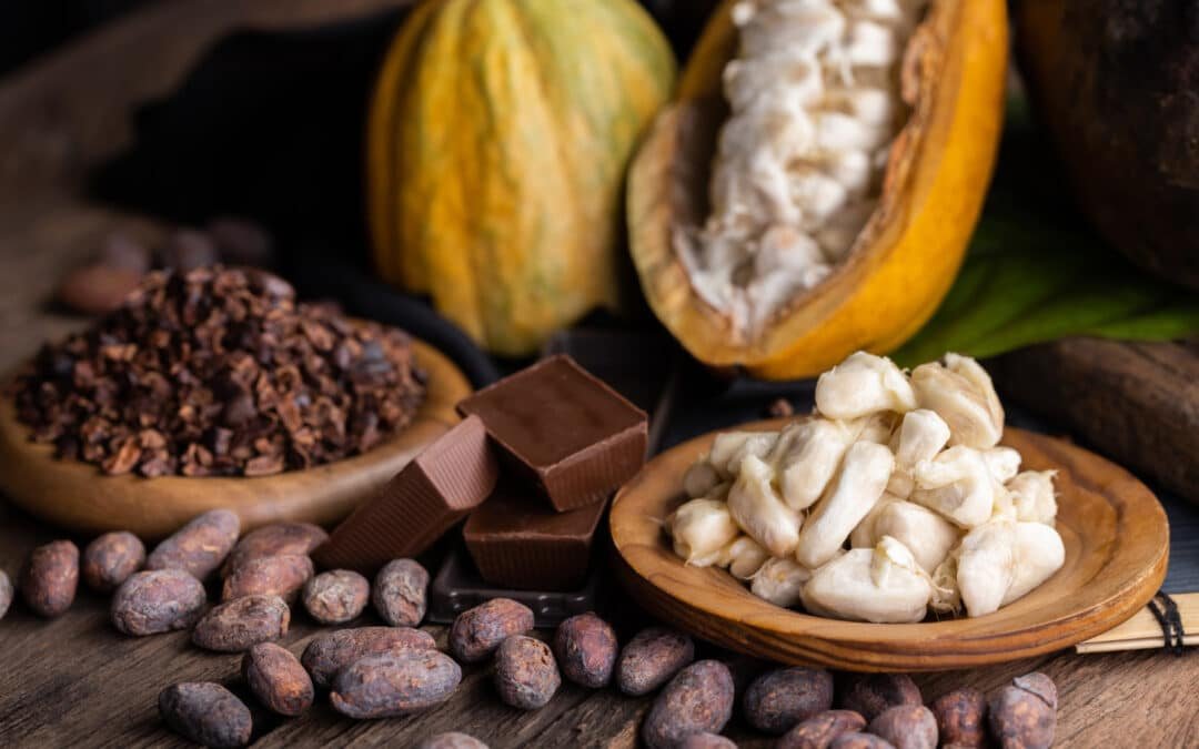 Cacao vs. Cocoa: ¿Cuál es la Diferencia?